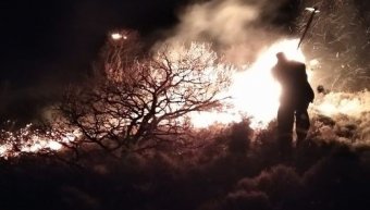 φωτο Βιβή Ποταμούση