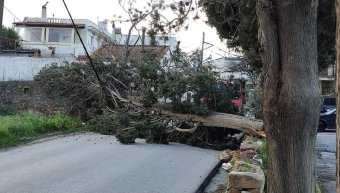 φωτο Γιάννης Σταμούλης