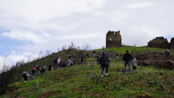 Η πρώτη μεγάλη δενδροφύτευση στη Βολισσό