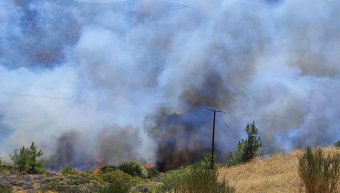 Φωτιά στη Σιδηρούντα - 1/7/24 Φωτιά στη Σιδηρούντα - 1/7/24
