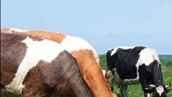 φωτο αρχείου φωτο αρχείου