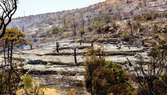 φωτο αρχείου