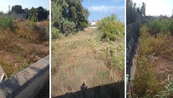 Καλαμιώνας ο… Κοκκαλάς! Καλαμιώνας ο… Κοκκαλάς!