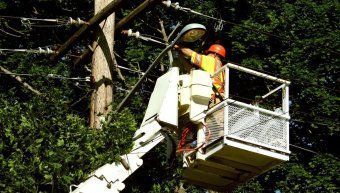 Ξηλώνουν λάμπες, που φωτίζουν ιδιωτικούς χώρους Ξηλώνουν λάμπες, που φωτίζουν ιδιωτικούς χώρους