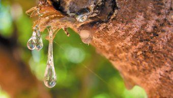 φωτο αρχείου φωτο αρχείου