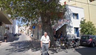 Την επικινδυνότητα κλαδιών του πλατάνου στη συμβολή Μονομάχου & Βορριά επισημαίνει ο Ιάκ. Μπριλής