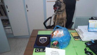 Μετέφερε στις αποσκευές του χασίς Μετέφερε στις αποσκευές του χασίς