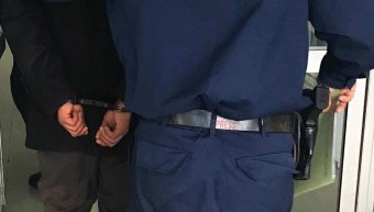 Διπλή σύλληψη Διπλή σύλληψη