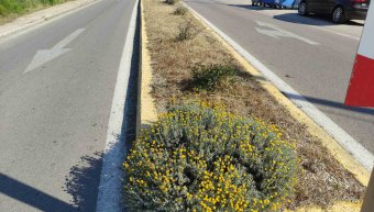 Οι νησίδες μετά το καθάρισμα