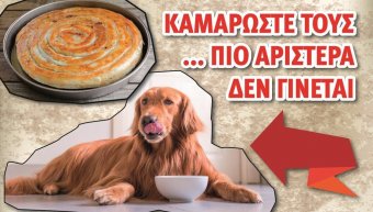 Χωρίς λόγια