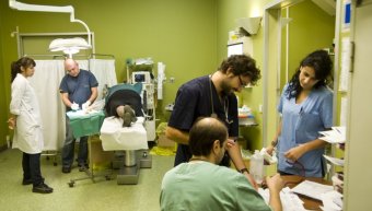 φωτο αρχείου φωτο αρχείου