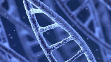 «Φρενάρουν» έως κατά 75% τις μεταστάσεις του καρκίνου 