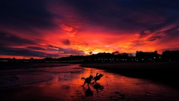 χειμερινό ηλιοστάσιο