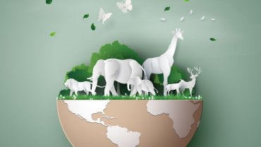 ζώα, φύση, Γη