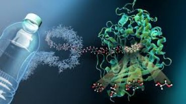 bacteria_eats_plastics