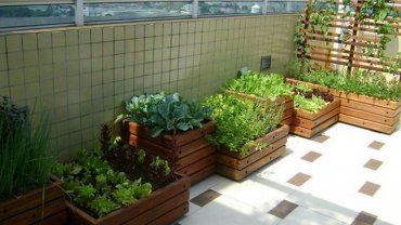 balcony-vegetable-garden