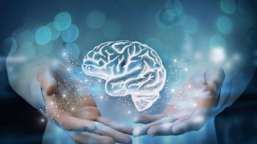 εγκέφαλος, χέρια γιατρού