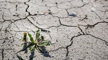 covid-19-vs-environment