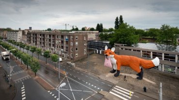fox-rotterdam