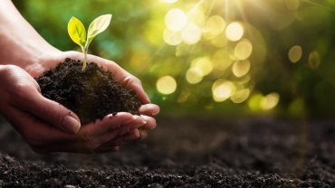 χέρια γυναίκας, φυτό, χώμα, φως