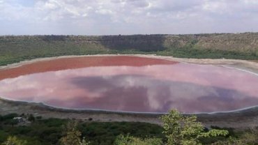india-lonar-lake-pink