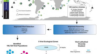 η «απογραφή» ιών της θάλασσας