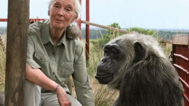 jane-goodall-talks-about-covid-19