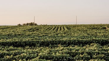 photosynthesis_planets