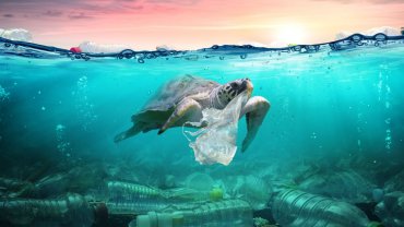 θαλάσσια χελώνα, πλαστική ρύπανση