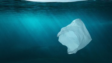 θάλασσα, πλαστική σακούλα