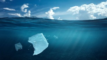 πλαστικές σακούλες, θάλασσα