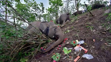 Φωτ: REUTERS/Anuwar Hazarika