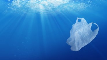 θάλασσα, πλαστική σακούλα