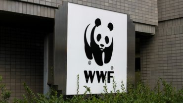 wwf2020