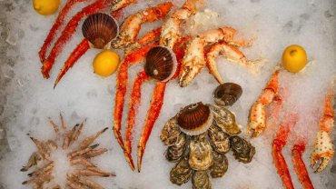   ΓΑΣΤΡΟΝΟΜΙΑ 28.02.2020 : 10:25 Πώς διατηρούμε τα θαλασσινά μέχρι το μαγείρεμα της Καθαράς Δευτέρας ΝΕΝΑ ΔΗΜΗΤΡΙΟΥ seafod-ice-kath Φωτογραφία: SHUTTERSTOCK