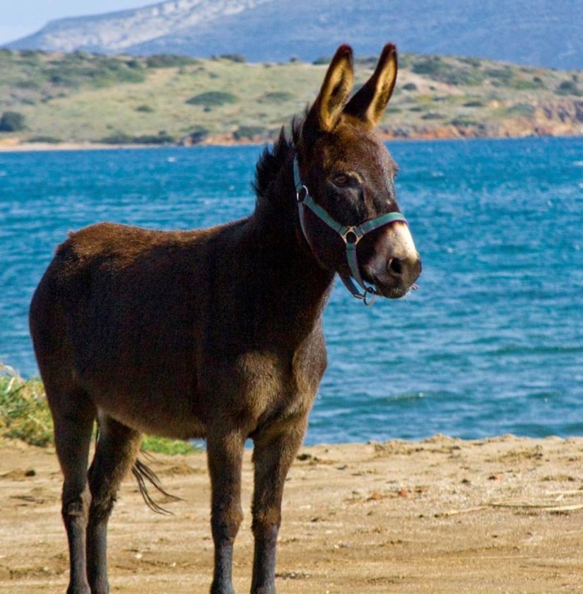 φωτο αρχείου φωτο αρχείου