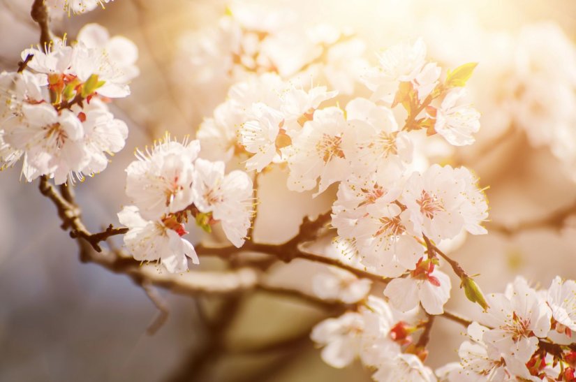 Τούτος ο Απρίλης όπως πάντα ήταν λίγο αλλοπρόσαλλος… Τούτος ο Απρίλης όπως πάντα ήταν λίγο αλλοπρόσαλλος…