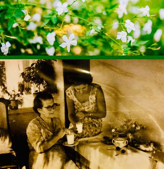 Η θεία του πατέρα μου, Αργυρώ Καρασούλη-Φερραίου, στο δροσερό μπαλκονάκι της μαζί με την κόρη της Αντωνία. Με γλυκό του κουταλιού και χιώτικη σουμάδα