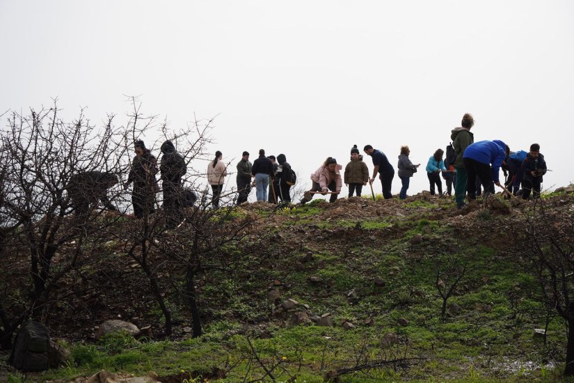 Μεγάλη και μαζική δενδροφύτευση στον Άγιο Δημήτριο Τσαγκαράδων με πρωτοβουλία του "Όλοι Μαζί Μπορούμε"