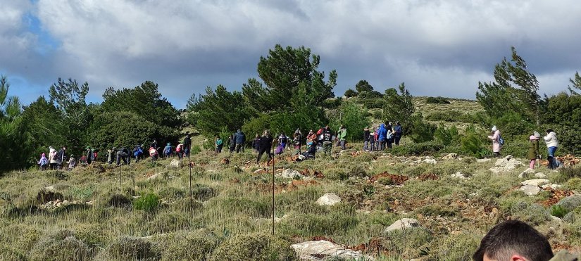 Πετυχημένη δενδροφύτευση στην περιοχή του Κορακάρη Πετυχημένη δενδροφύτευση στην περιοχή του Κορακάρη