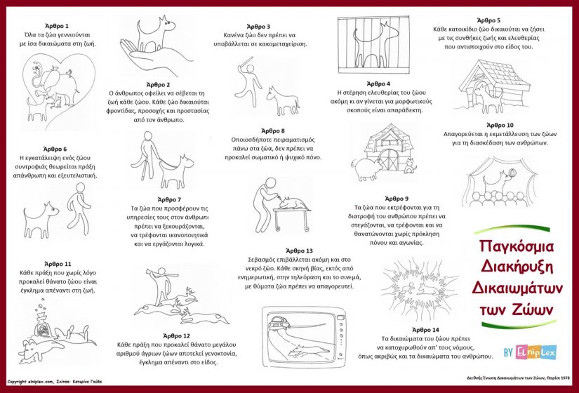 Διεθνής Διακήρυξη για τα Δικαιώματα των Ζώων