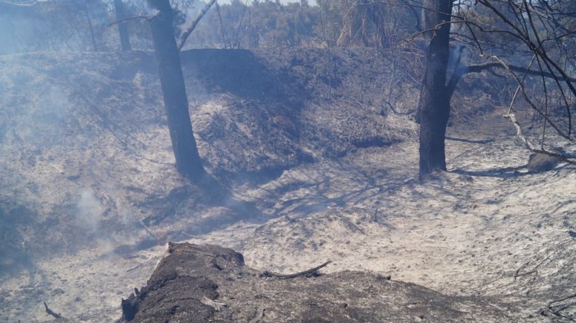 Πυρκαγιά μεταξύ Καλαμωτής - Κώμης