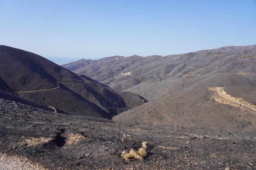 Απεραντο μαυρο καλυπτει μεγαλο μερος των βουνων της Αμανης μετα τη φωτια που ξεσπασε στις 12 Αυγουστου 2025 Απεραντο μαυρο καλυπτει μεγαλο μερος των βουνων της Αμανης μετα τη φωτια που ξεσπασε στις 12 Αυγουστου 2025