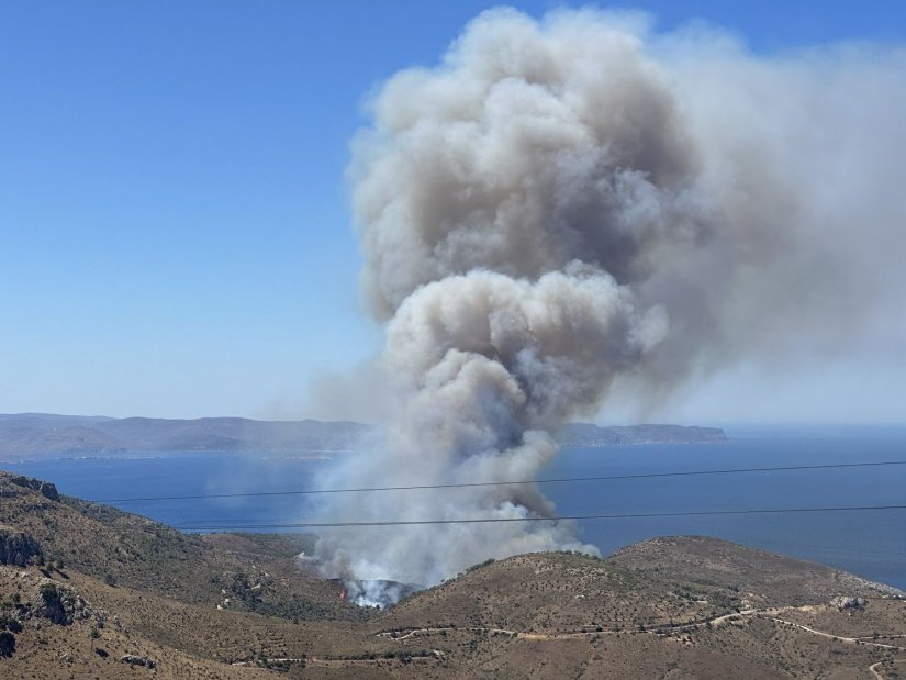 Φωτιά στη Σιδηρούντα - 1/7/24
