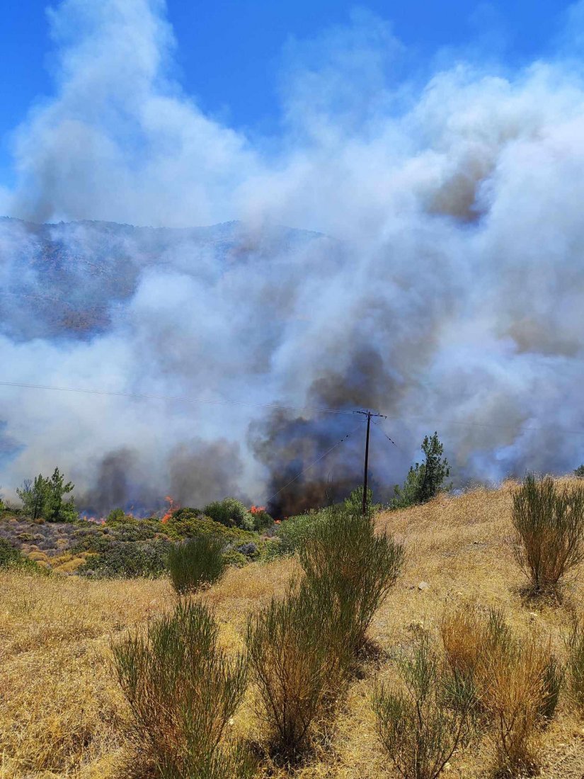 Φωτιά στη Σιδηρούντα - 1/7/24