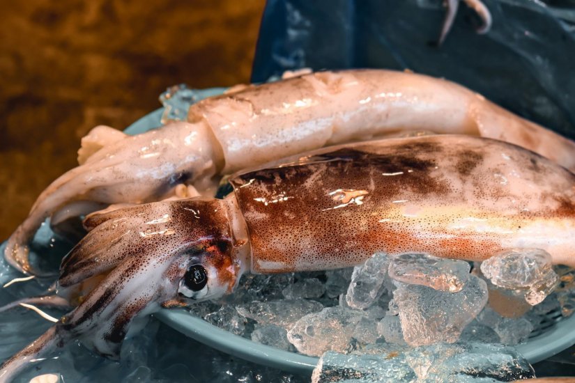 Οι καλαμαράδες…