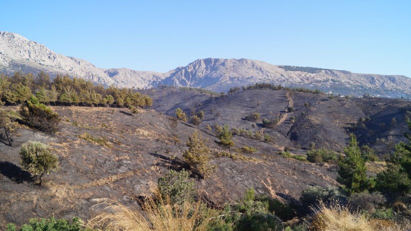 Κάηκε περιμετρικά η πόλη της Χίου Κάηκε περιμετρικά η πόλη της Χίου