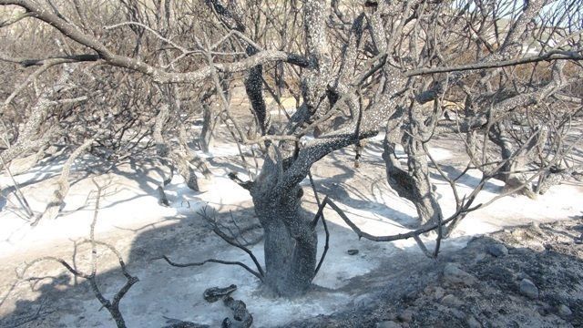 Φωτο αρχείου