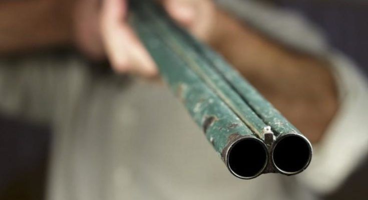 Νταηλίκια στα νοτιόχωρα Νταηλίκια στα νοτιόχωρα