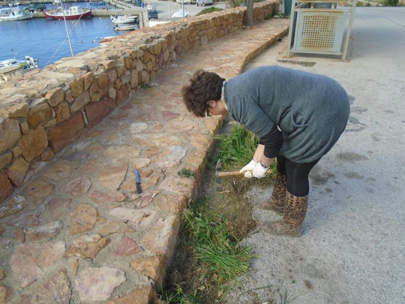 Μπράβο Ρούλα Μπράβο Ρούλα